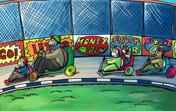 Go Karts - Bugville Critters by Robert Stanek